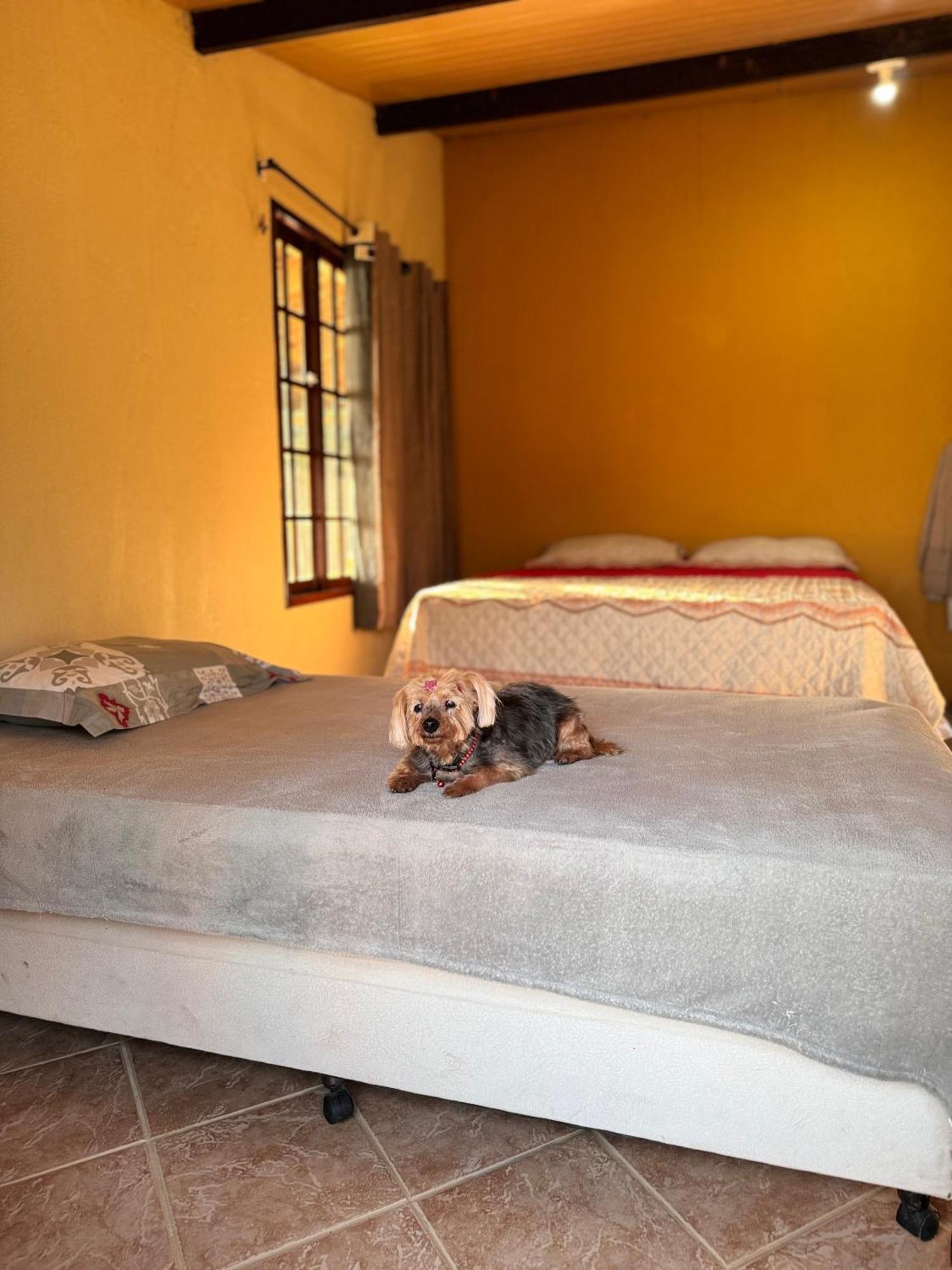 Villa Chale Bella Vista Guaramiranga Exterior foto